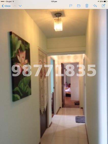Blk 1C The Pinnacle@Duxton (Bukit Merah), HDB 4 Rooms #64056772